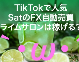 TikTokで人気のSatのFX自動売買ライムサロンは稼げる？